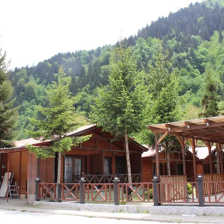 New Doga * Uzungöl