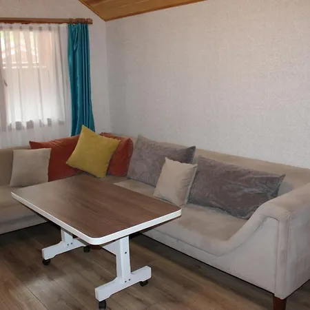 Hotel New Doga