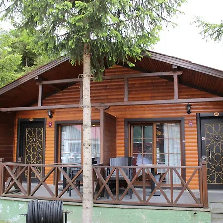 New Doga Uzungöl