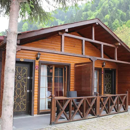 New Doga Hotel *