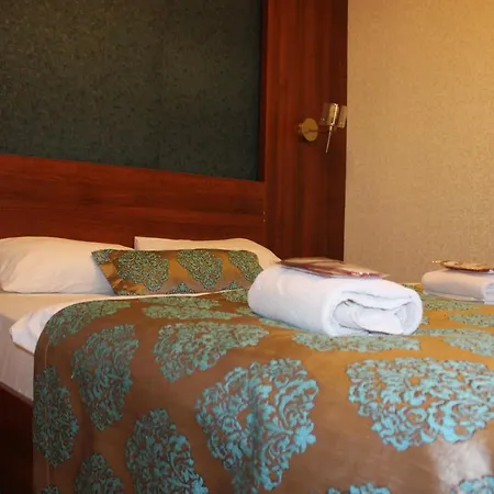 Hotel New Doga Uzungol