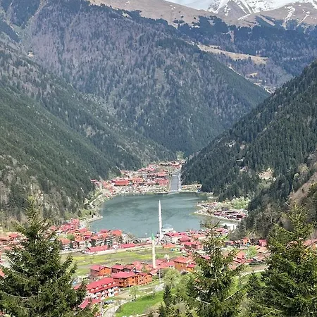 New Doga * Uzungöl
