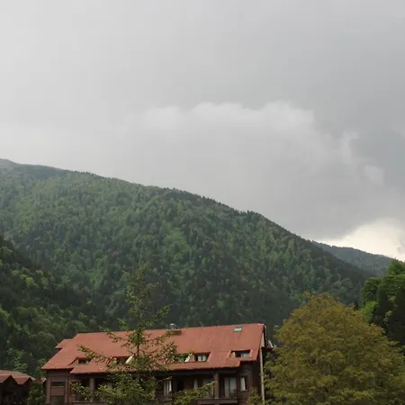 New Doga * Uzungol