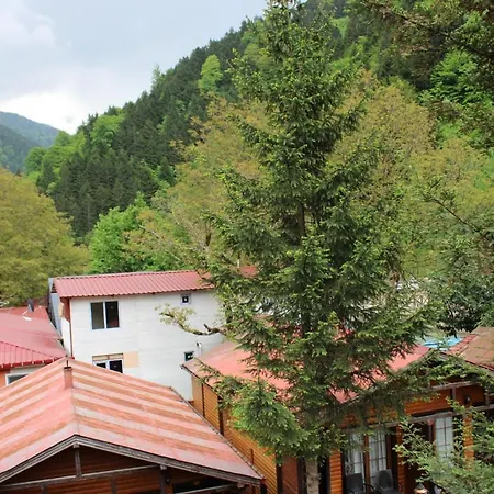 New Doga * Uzungöl