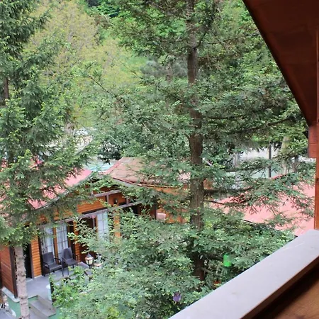 New Doga Hotel