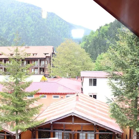 Hotel New Doga